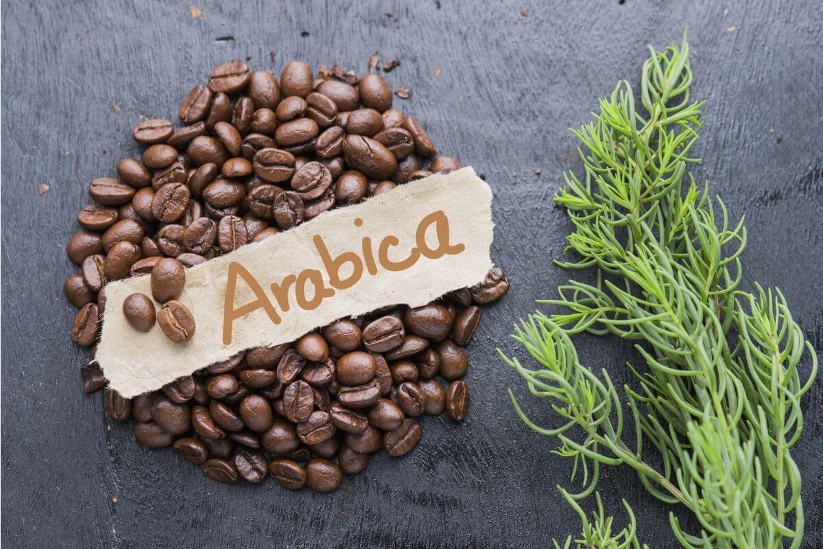 View of 12 Best Arabica Coffee Brands In 2026: A Taste Tour