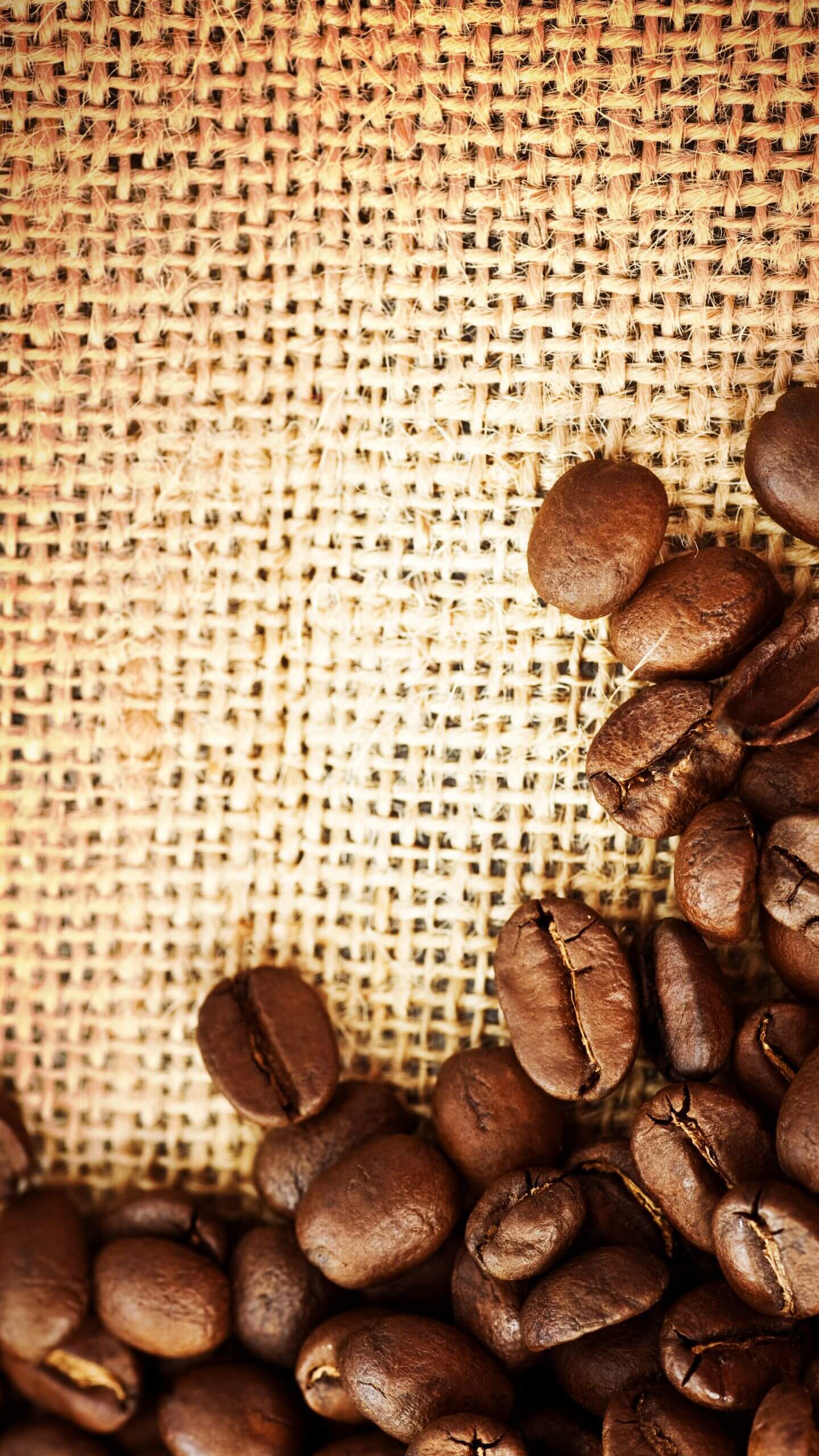 Coffee Beans on Fabric