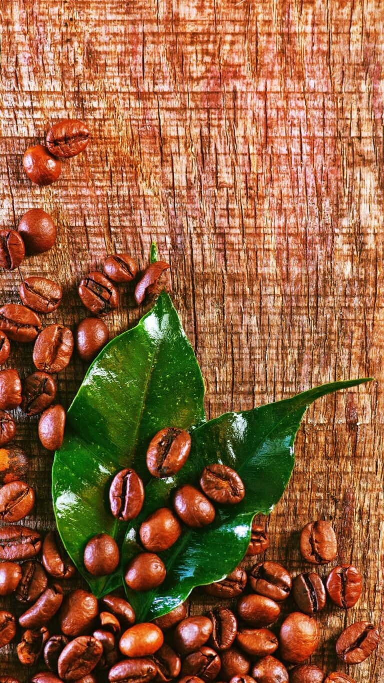 Coffee Beans with Green Leaves