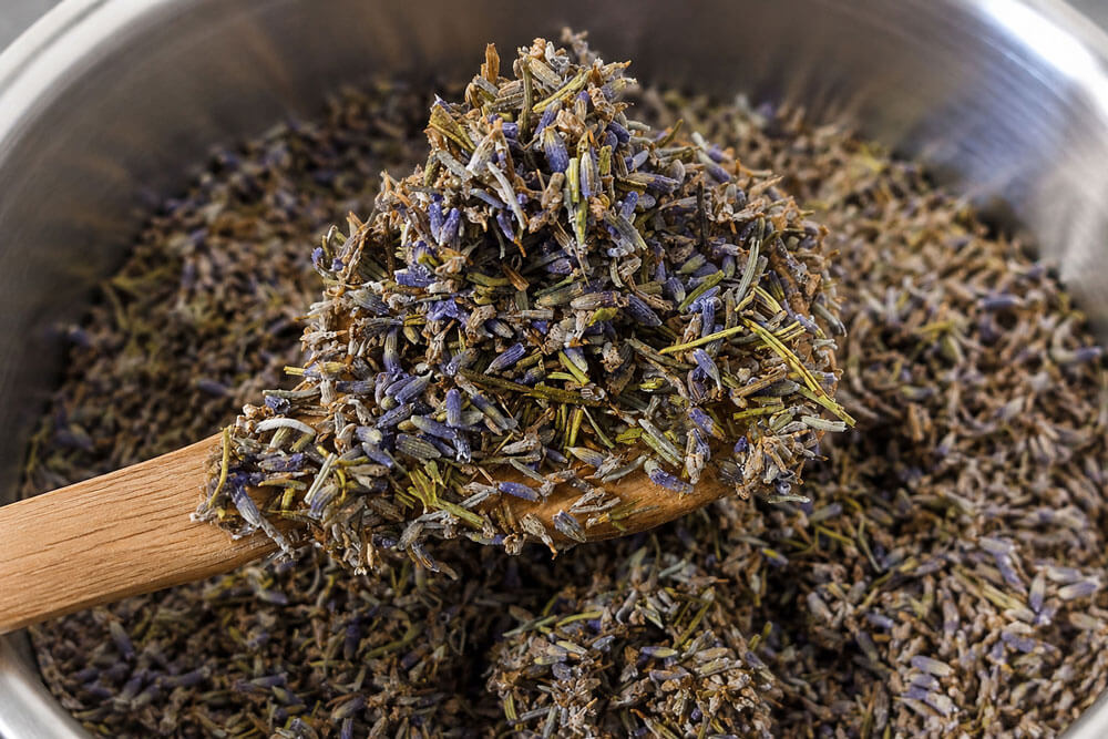 Lavender