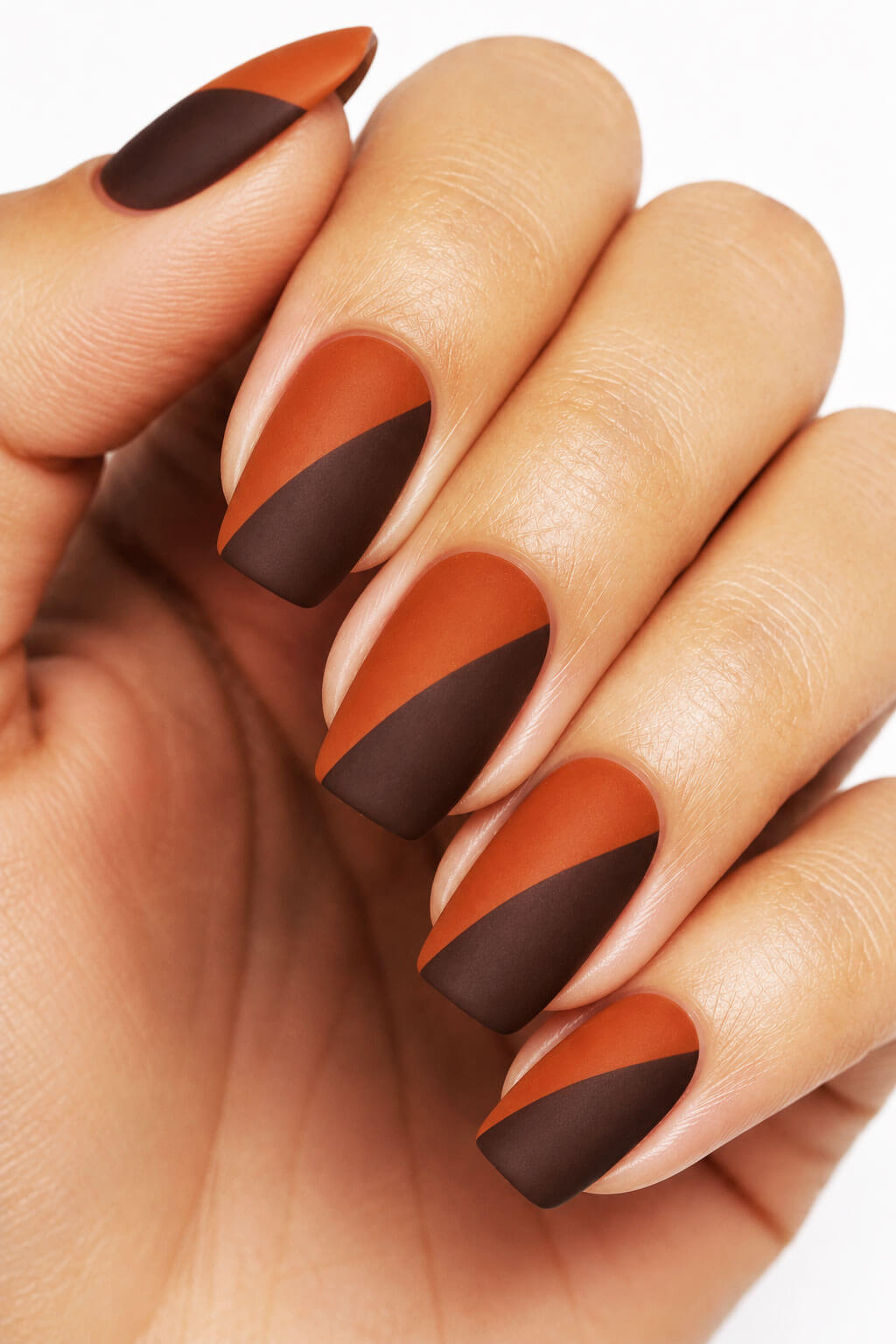 Burnt Sienna and Mocha Color Block