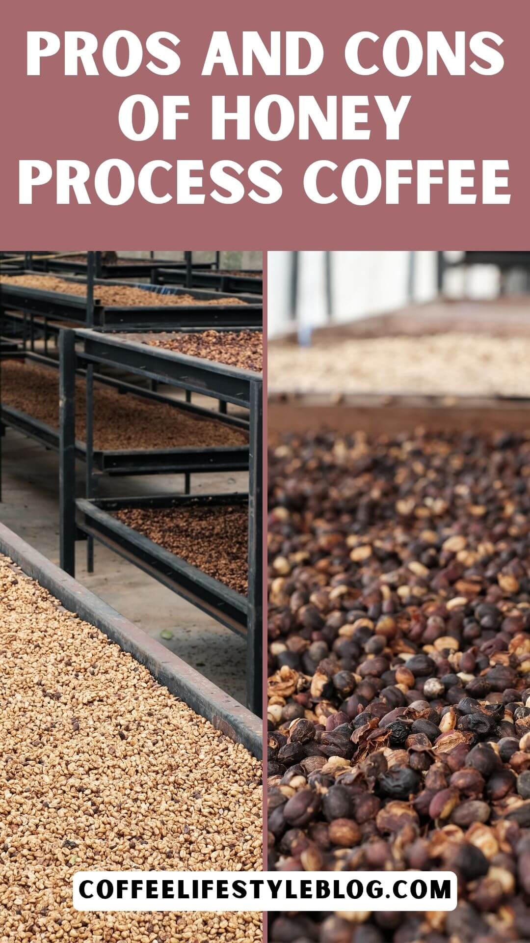 Pros and Cons of Honey Process Coffee