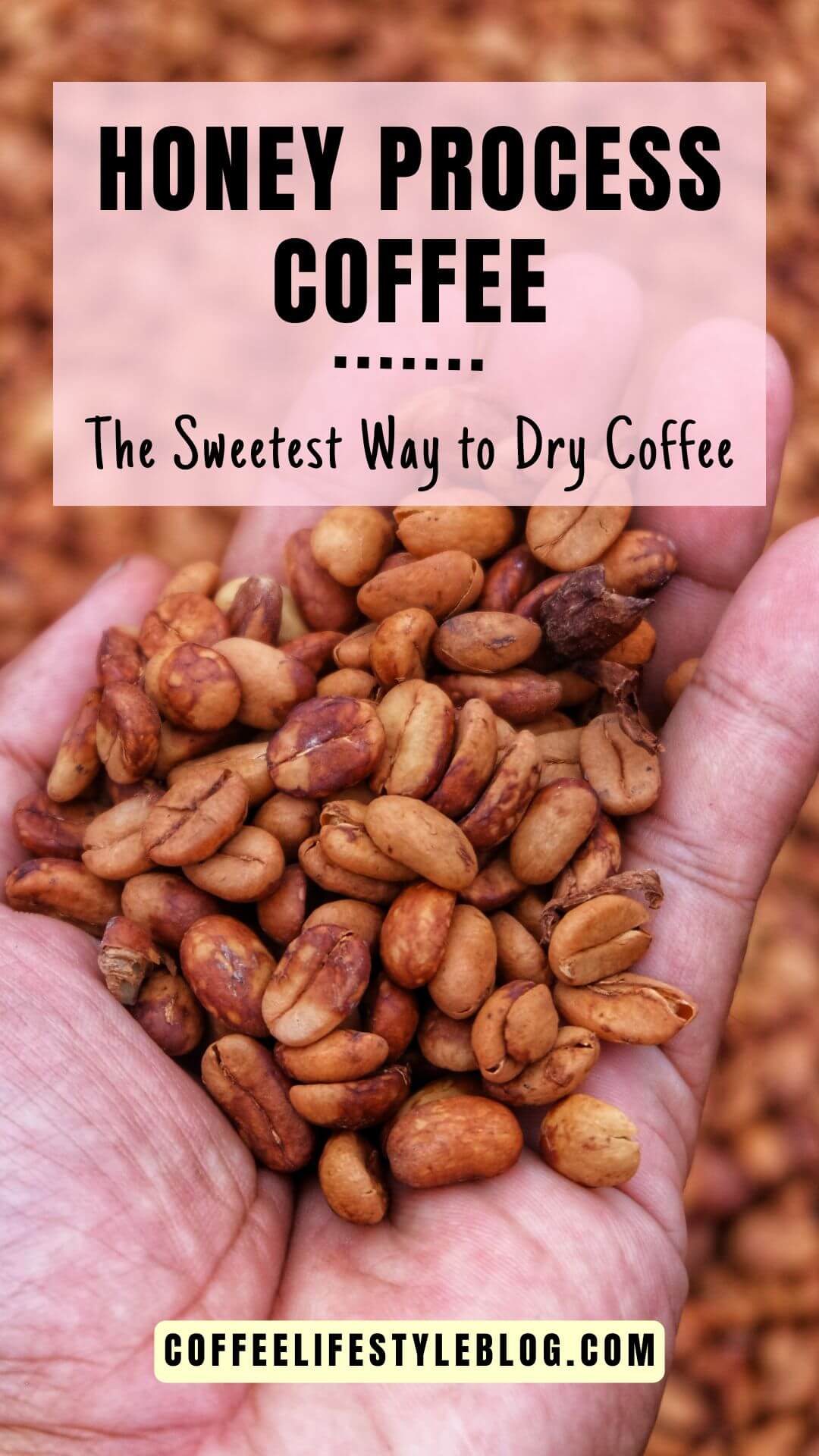 The Sweetest Way to Dry Coffee