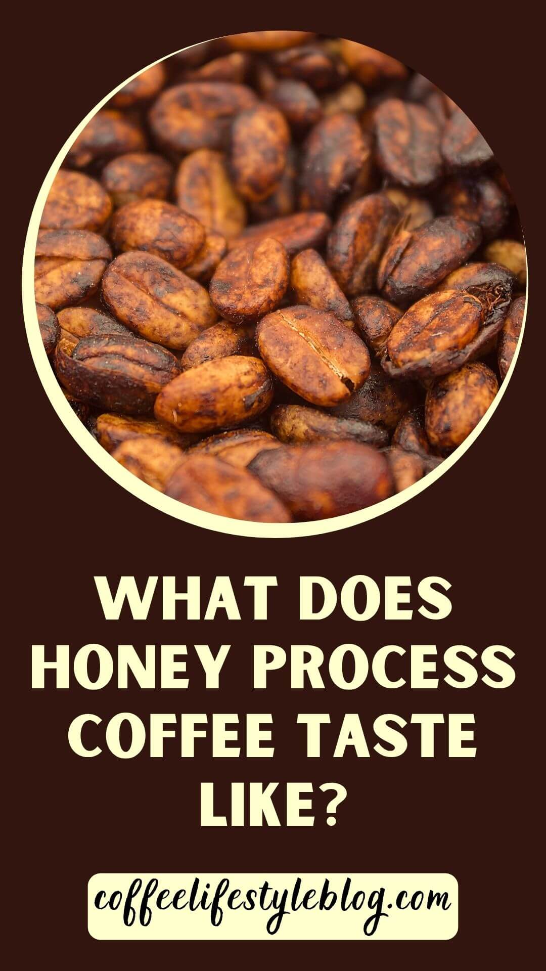 What Does Honey Process Coffee Taste Like