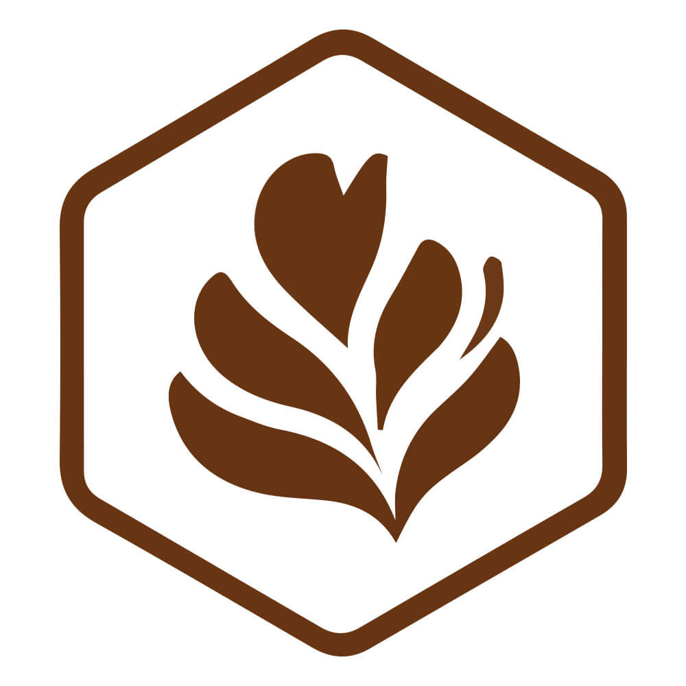 The Hexagon Emblem